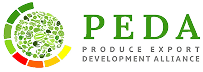 peda logo